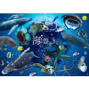 海の聲をきく－-Unforgettable Encounter- [単行本]