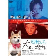 犬、回転して、逃げる
