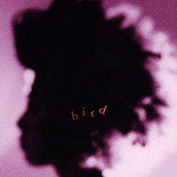 bird／bird