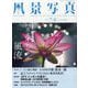 風景写真 2025年 07月号 [雑誌]