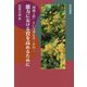 「図画工作」という考え方〈その2〉能力における質を高めるために [単行本]
