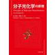 分子光化学の原理 [単行本]
