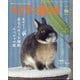 季刊うさぎと暮らす 2025年 07月号 [雑誌]