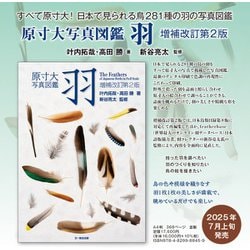 羽 原寸大写真図鑑　増補改訂版 原寸大写真図鑑 羽 増補改訂第2版