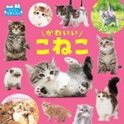 かわいいこねこ(なかよし写真えほん) [絵本]