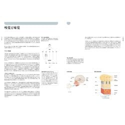 【シュリンク付】香りで料理を科学する フードペアリング大全 香りで料理を科学する フードペアリング大全 分子レベルで発想