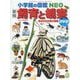 飼育と観察―身近な生き物の図鑑 新版 (小学館の図鑑NEO) [図鑑]