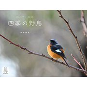 四季の野鳥 （イカロスカレンダー2026） [カレンダー]