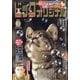 ビッグコミックオリジナル 2025年 8/5号 [雑誌]