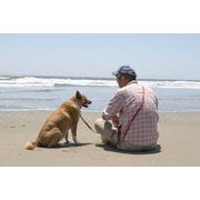 海辺の犬。（TJMOOK） [ムックその他]