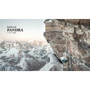 Surface of PANDRA パンドラへ到る [単行本]