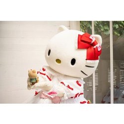 ヨドバシ.com - Honolulu Cookie Company × HELLO KITTY
