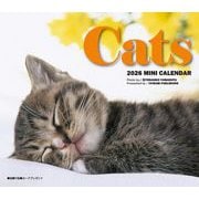2026　ミニカレンダー　キャッツ [カレンダー]