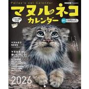 2026　マヌルネコカレンダー [カレンダー]