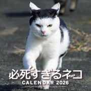 2026　必死すぎるネコカレンダー [カレンダー]