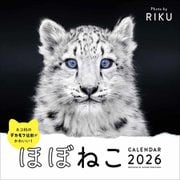 2026　ほぼねこカレンダー [カレンダー]