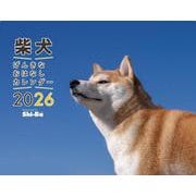 2026　柴犬げんきな おはなしカレンダー [カレンダー]