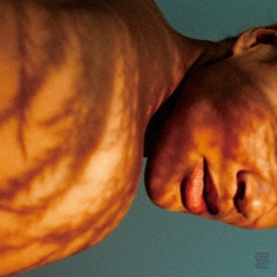 フリーダ・トゥレイ／ホームバディ