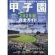 週刊ベースボール増刊 高校野球マガジン 2025甲子園展望号 2025年 9/4号 [雑誌]