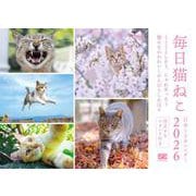 毎日猫ねこ 日めくりカレンダー 2026（翔泳社カレンダー） [カレンダー]
