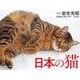 2026年カレンダー　日本の猫 [カレンダー]