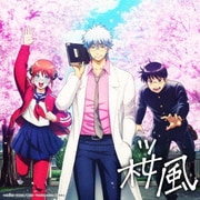 桜風