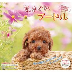 気まぐれプードルカレンダー 2026 [カレンダー]