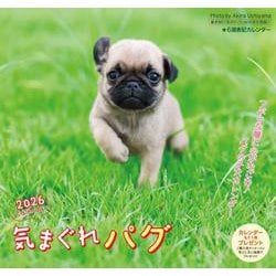 気まぐれ パグカレンダー 2026 [カレンダー]