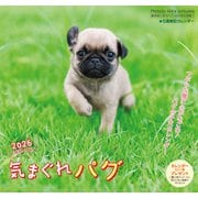 気まぐれ パグカレンダー 2026 [カレンダー]