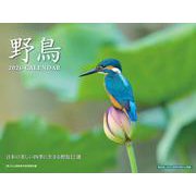 野鳥カレンダー 2026 [カレンダー]