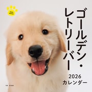 2026年カレンダー ゴールデン・レトリーバー（誠文堂新光社カレンダー） [カレンダー]