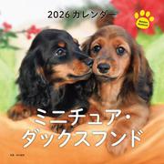2026年カレンダー ミニチュア・ダックスフンド（誠文堂新光社カレンダー） [カレンダー]