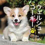 2026年カレンダー ウェルシュ・コーギー（誠文堂新光社カレンダー） [カレンダー]