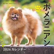 2026年カレンダー ポメラニアン（誠文堂新光社カレンダー） [カレンダー]