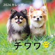 2026年カレンダー チワワ（誠文堂新光社カレンダー） [カレンダー]