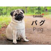 2026年カレンダー ワイド判 パグ（誠文堂新光社カレンダー） [カレンダー]
