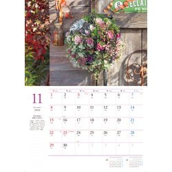 草花 ヨドバシ.com - 12ヶ月の小さな花のある暮らし Flowers＆Plants