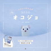 山の妖精 オコジョ CALENDAR 2026(インプレスカレンダー2026) [カレンダー]