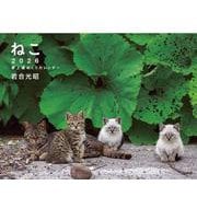 2026 岩合光昭 ねこ 卓上週めくりカレンダー [カレンダー]