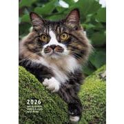 2026 岩合光昭 ねこ手帳 [単行本]