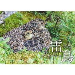 雷鳥 神の鳥の四季カレンダー 2026 [カレンダー]