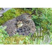 雷鳥 神の鳥の四季カレンダー 2026 [カレンダー]