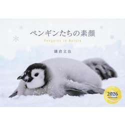 ペンギンたちの素顔カレンダー 2026 [カレンダー]
