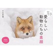 北の森に生きる愛らしい動物たちの素顔カレンダー 2026 [カレンダー]