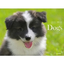 Dogsカレンダー 2026 [カレンダー]
