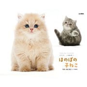 ほのぼの子ねこ 2026 [カレンダー]