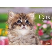 Cats 2026 [カレンダー]