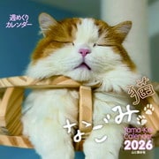 週めくりカレンダー なごみ猫 2026 [カレンダー]