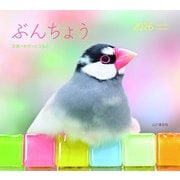 ぶんちょう 2026 [カレンダー]