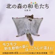 北の森の和毛たち [単行本]
